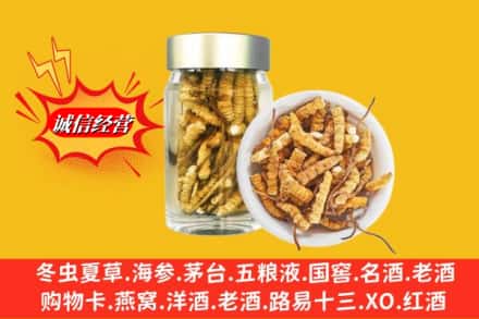 偏关县回收散虫草